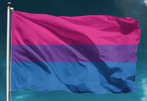 BANDEIRA-LGBT-ORGULHO-BISEXUAL.jpg BANDEIRA-LGBT-ORGULHO-BISEXUAL.jpg