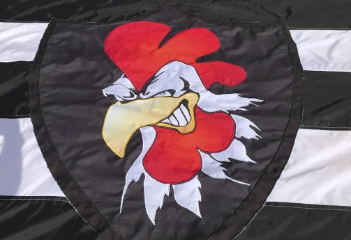 Bandeiras Personalizadas Esportivas